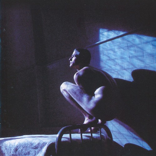 Peter gabriel birdy sacd - gabriel,