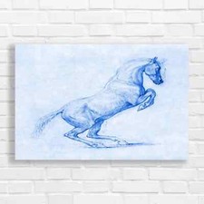 Majestic White Horse Blue