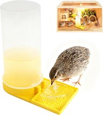 Large Capacity Quail Water