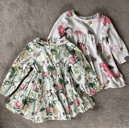 Dinosaur and floral - dinosaur, next
