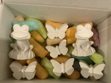 Animal Make and Paint Home