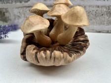 Wooden Mushroom Toadstool Sculpture Teak Root Hand Carved Driftwood Ornament