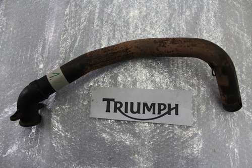 Triumph daytona 955i t595 - triumph,