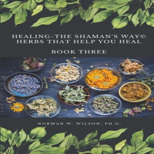 Healing the shaman way - healing,
