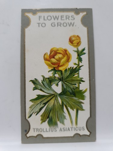 Lea cigarette card - r,