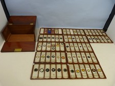 Antique  Microscope Slides in a Mahogany Case; group of 69 slides in 12 trays
