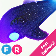 Glormy Dolphin ✨ Fly Ride FR