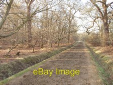 Photo 6x4 horse ride windsor - horse, ride,
