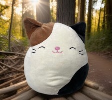 Calico Cat Squishmallow Cam