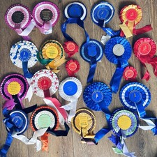 22x Vintage Bird Show Rosettes