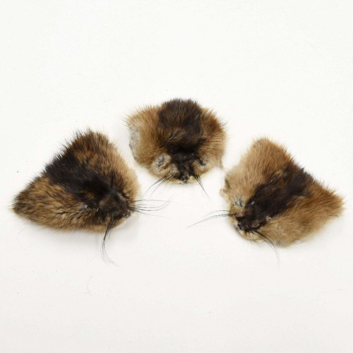 Animal fur face - animal, pieces