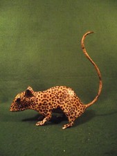 Weird Antique Vintage Style Leopard Squirrel Rat Decor Figure Art Sculpture