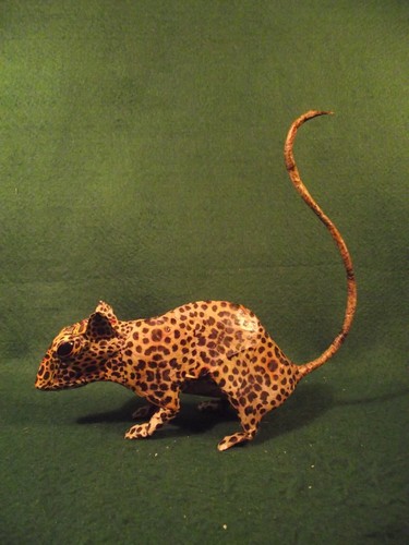 Weird antique vintage style - weird,