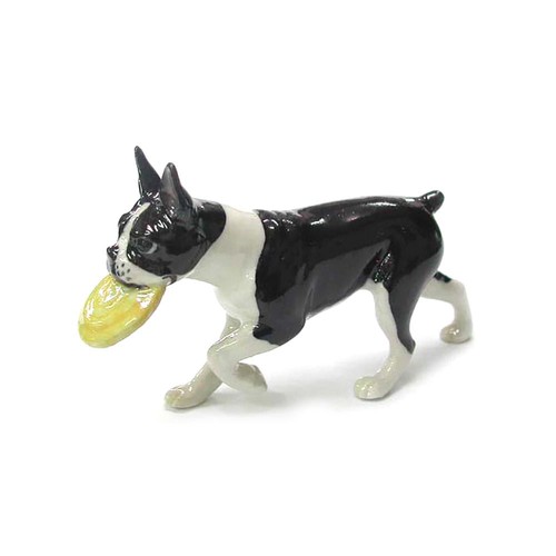 Northern rose dog boston - northern,