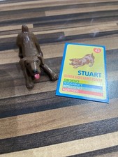 Vintage Puppy In My Pocket # 43 Stuart The German Short Haired Pointer Dog