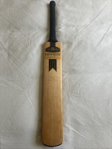Cricket bat short handle - cricket,