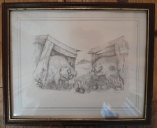 framed pig picture print of pencil drawing, signed by artist Glenda Rae