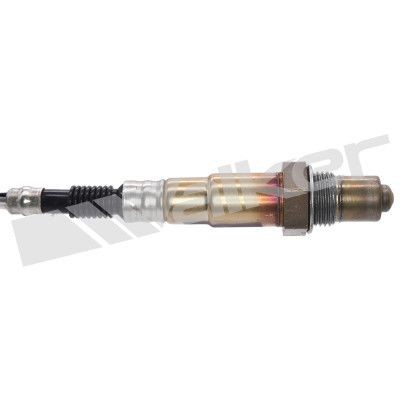 Walker 350 34303 oxygen - 350-34303,