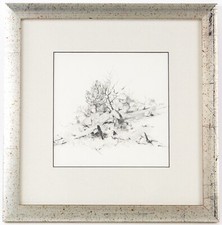 DAVID SHEPHERD, 'BUSH STUDY'