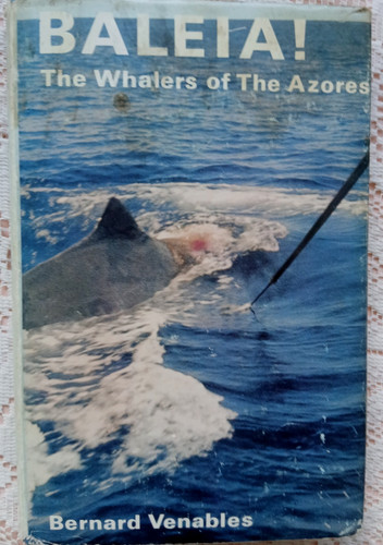 Baleia the whalers - baleia!,