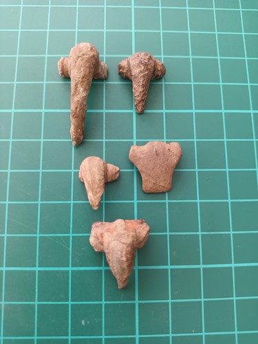 Five small roman fibula brooch - five,
