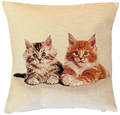 Cute kittens french hand - cute,