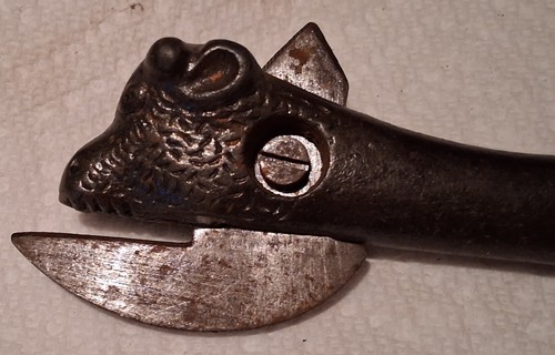 Antique victorian bull head - antique,