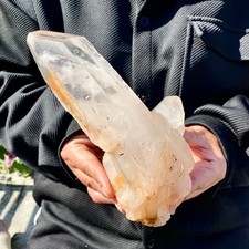 2.29LB A+++ Large Himalayan