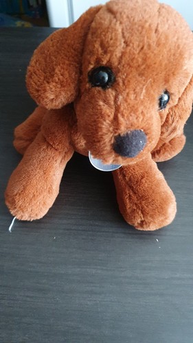 Nintendogs chocolate labrador - nintendogs,