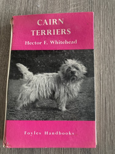 Cairn terriers hector f - terriers,
