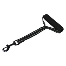Blind dog lead - dog, leash