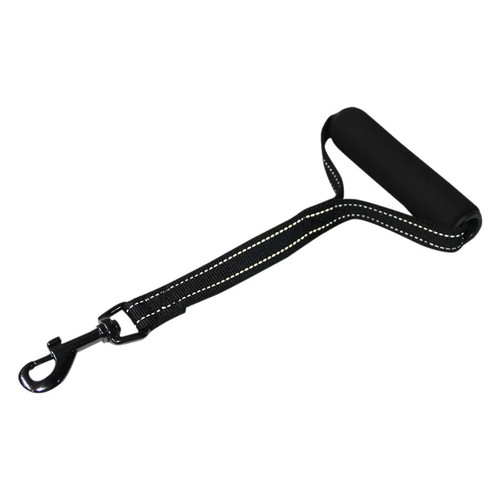 Blind dog lead short - lead,