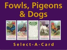 Ogden's FOWLS, PIGEONS & DOGS - Select - A - Card