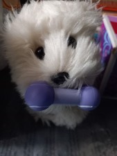 American Girl pet dog Coconut, house, accessories, used, retired