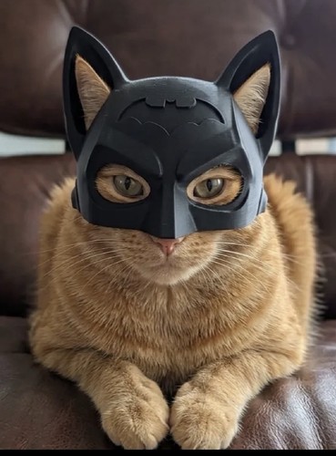 The best batman - batman, helmet