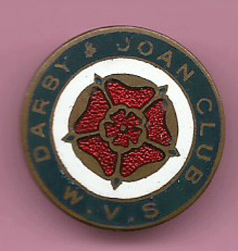 Women voluntary service - voluntary,