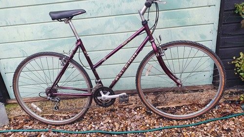 Women raleigh pioneer - raleigh,