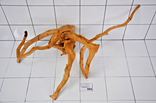 Premium aquarium natural wood - aquarium,