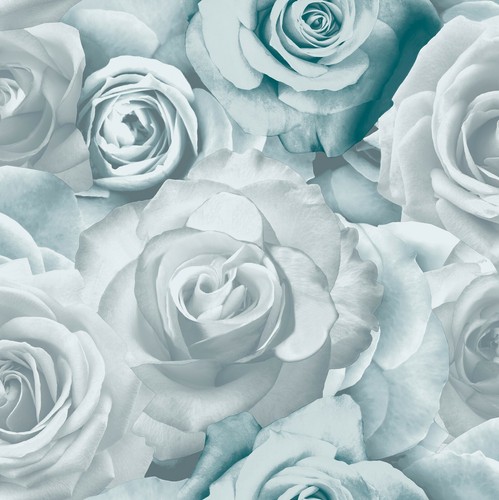 New glamour rose wallpaper - glamour,