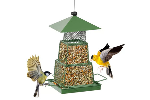 Hanging bird feeder - bird,