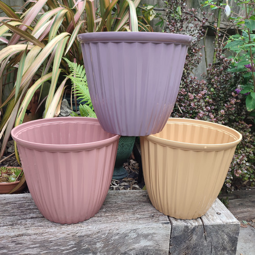 Decorative plant pots - decorative,