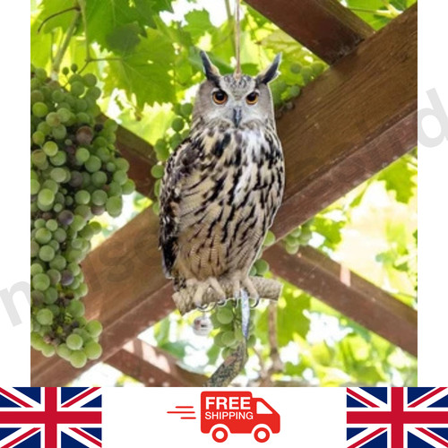 Owl decoy bird - bird, deterrent