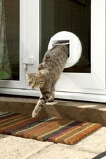 Sureflap microchip cat flap - cat,