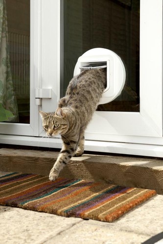 Sureflap microchip cat flap - flap, |