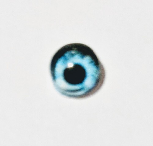 6mm glass cabachon eyes - , great
