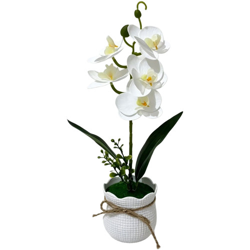 Realistic fake phalaenopsis - fake,
