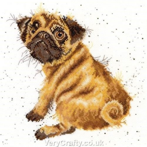 Pug dog counted - pug, cross