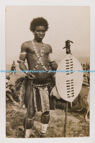 C033213 zulu warrior with - c033213,