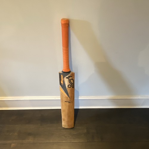 Vintage kookaburra rogue - vintage,