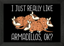 Armadillo Gift Wildlife Framed